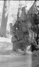 Jem1973_012-09
